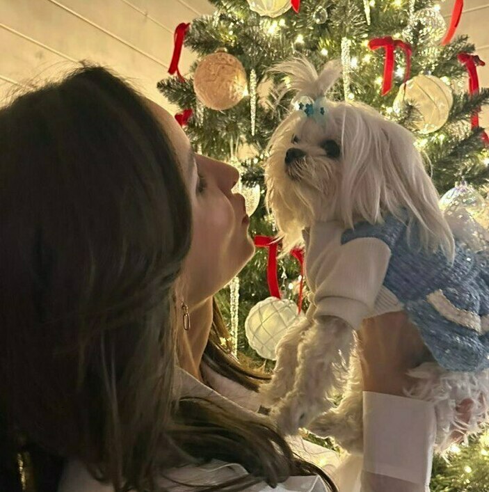 щенок мальтезе собака мальтийская болонка фото